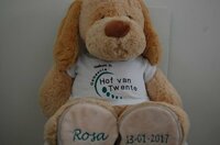 Knuffels met logo bestellen Knuffels met logo bestellen