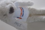 geboorte konijn met logo