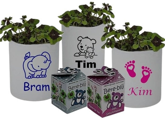 Geboorte Bloempot met naam