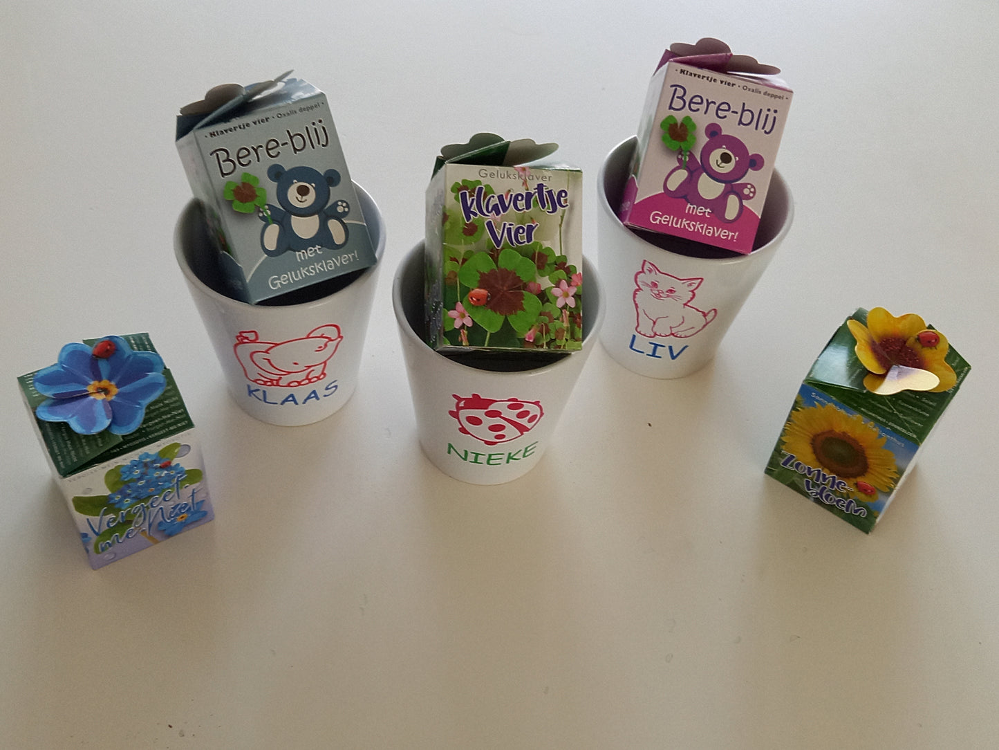 Geboorte Bloempot met naam