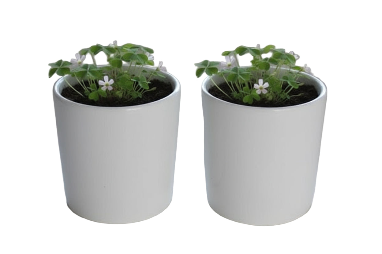 Geboorte Bloempot met naam