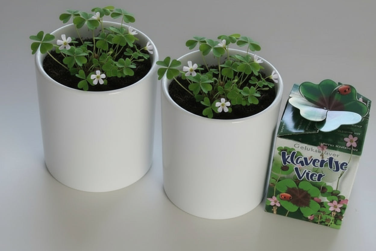 Geboorte Bloempot met naam