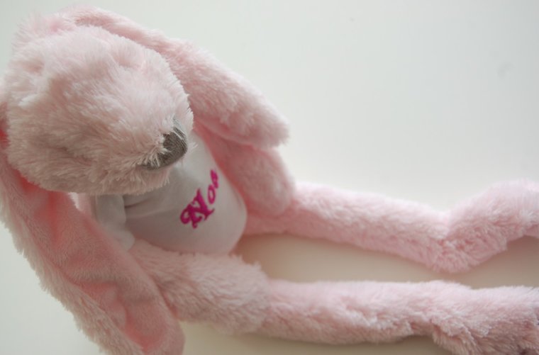 Knuffelkonijn Rabbit Richie met Naam