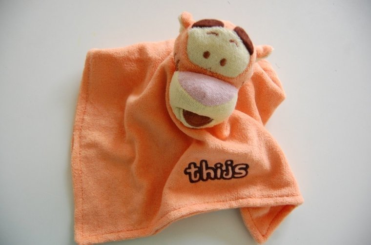 Teigerje knuffeldoek met Naam