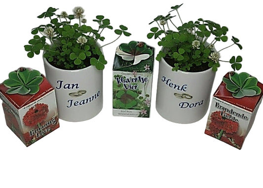 Trouwdag cadeau bloempot