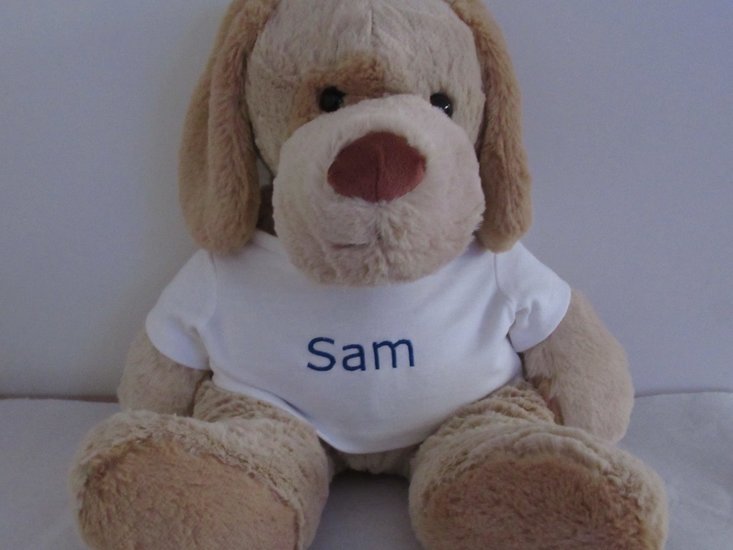 Knuffel met Naam 40 cm