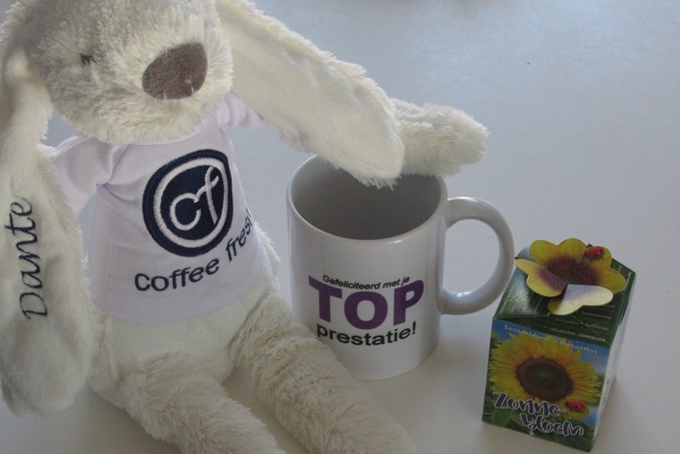 Knuffelkonijn Rabbit Richie met logo