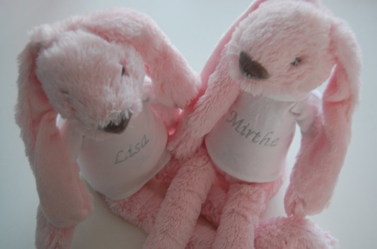 Knuffelkonijn Rabbit Richie met Naam