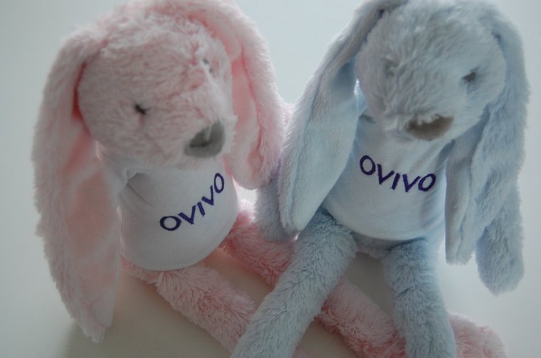 Knuffelkonijn Rabbit Richie met Naam