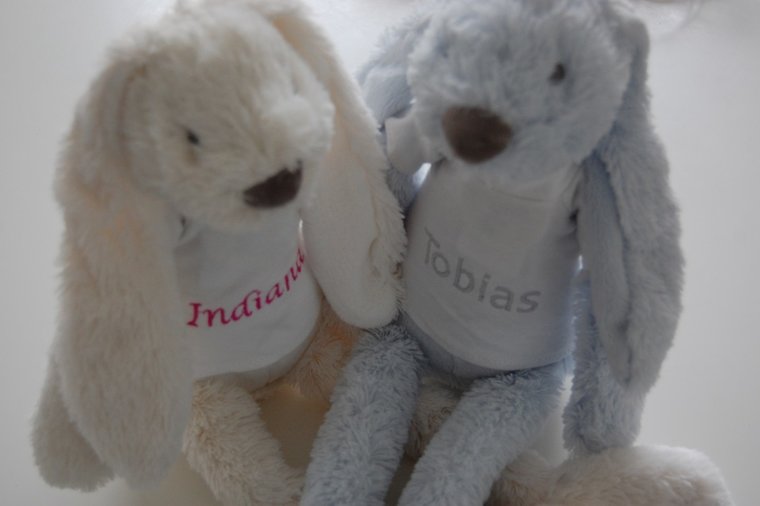 Knuffelkonijn Rabbit Richie met Naam