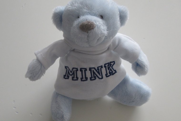 Mini knuffelbeertje met naam roze of blauw
